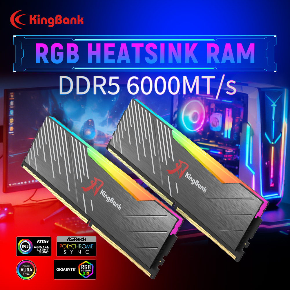 KingBank KRRB DDR5 RGB SoarBla – Ddr5 16Gb 6000Mhz Bewertung und Preis