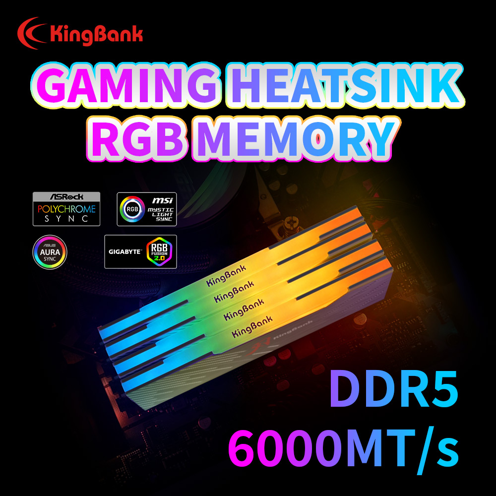 KingBank KRRB DDR5 RGB SoarBla – Ddr5 16Gb 6000Mhz Bewertung und Preis
