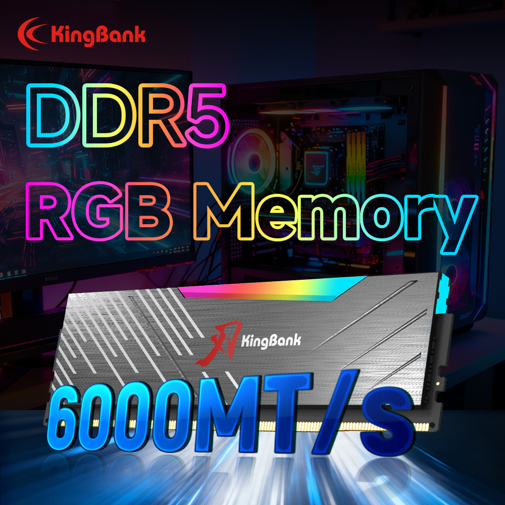 KingBank KRRB DDR5 RGB SoarBla – Ddr5 16Gb 6000Mhz Bewertung und Preis
